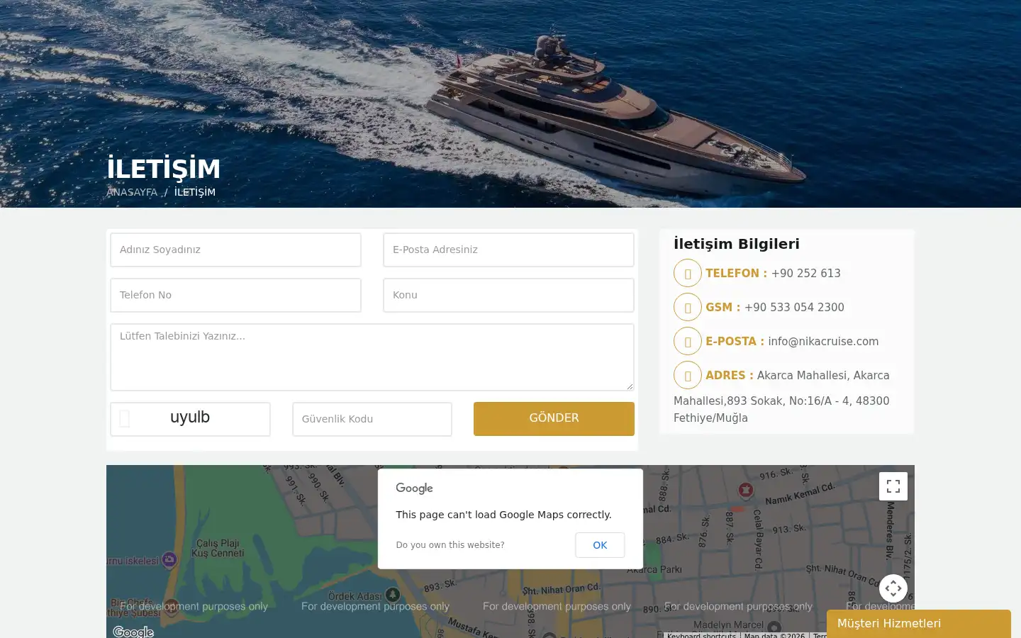 Screenshot of nikacruise.com