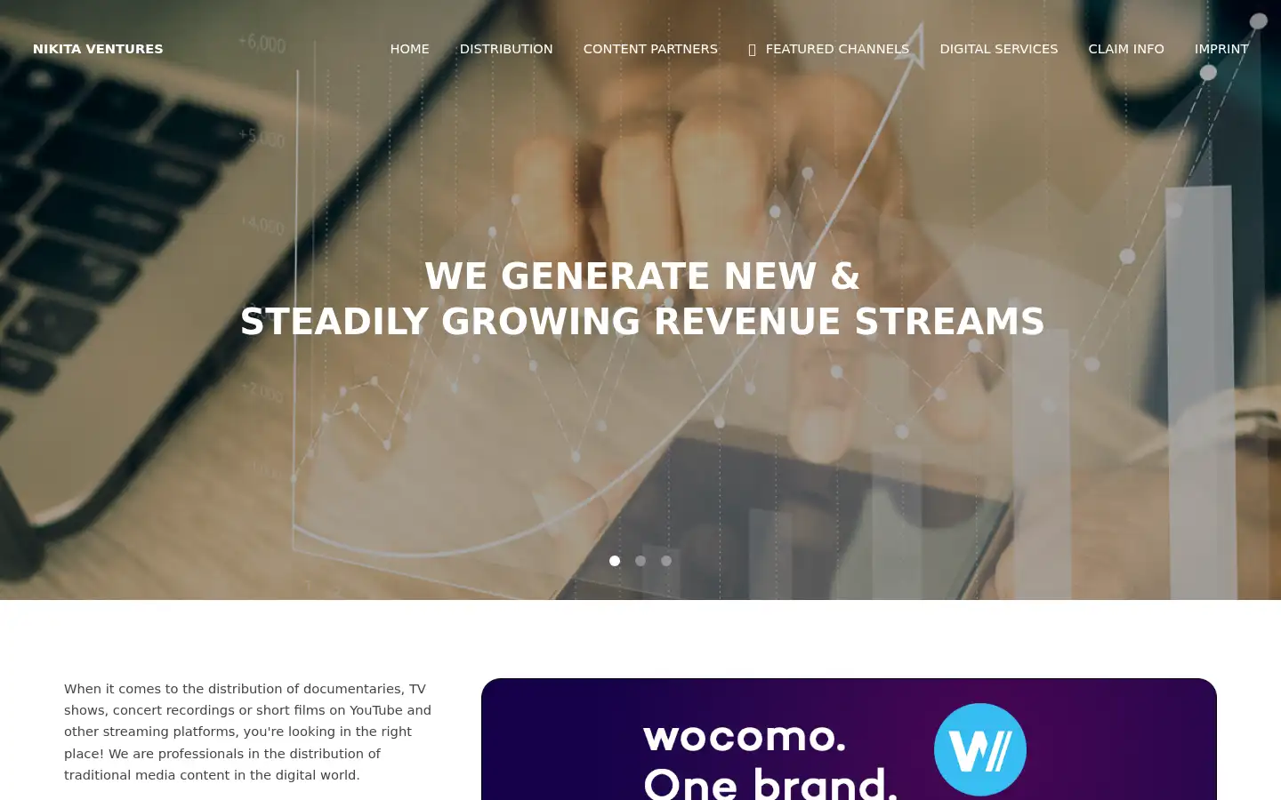 Screenshot of nikita-ventures.com