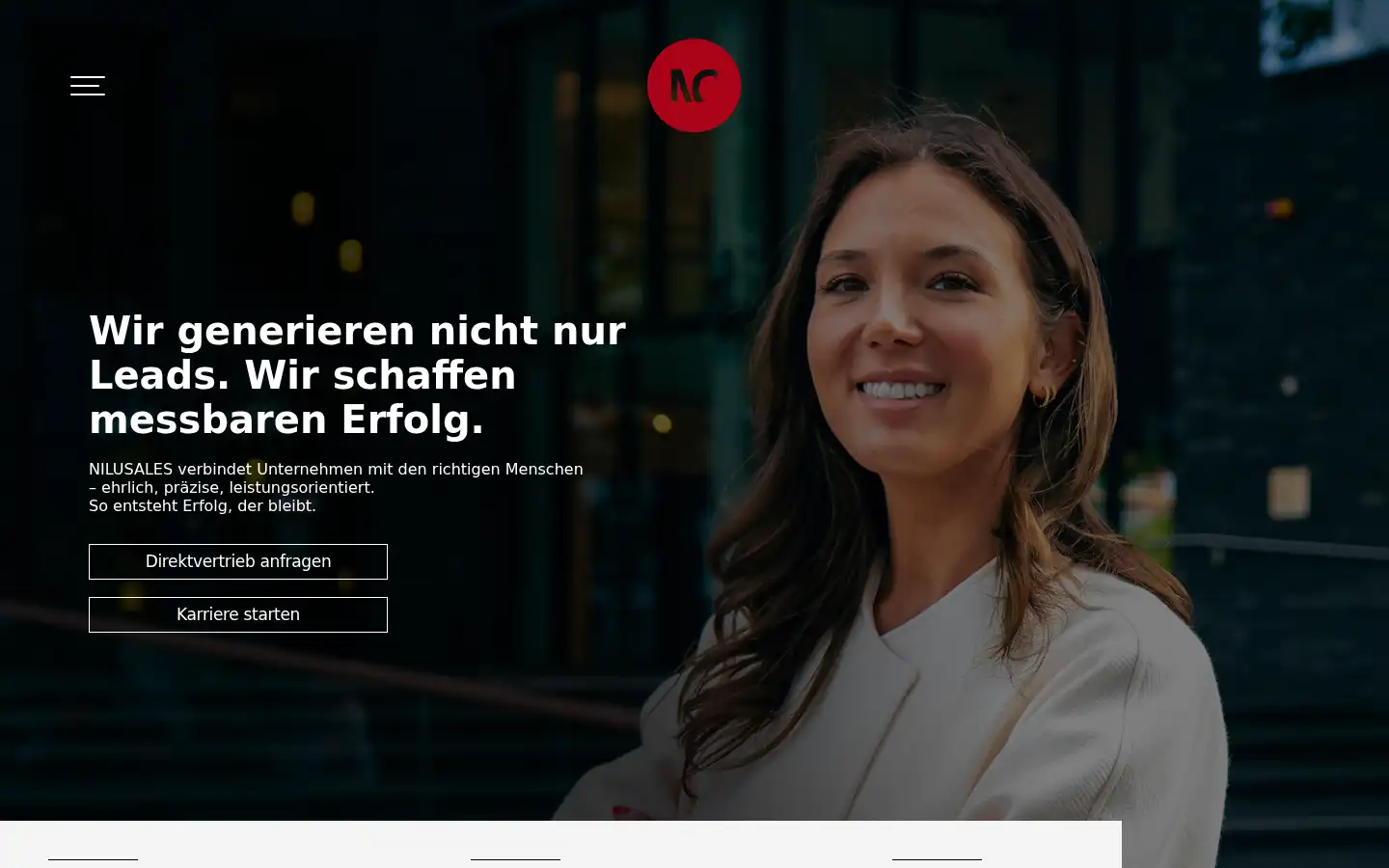 Screenshot of nilusales.de