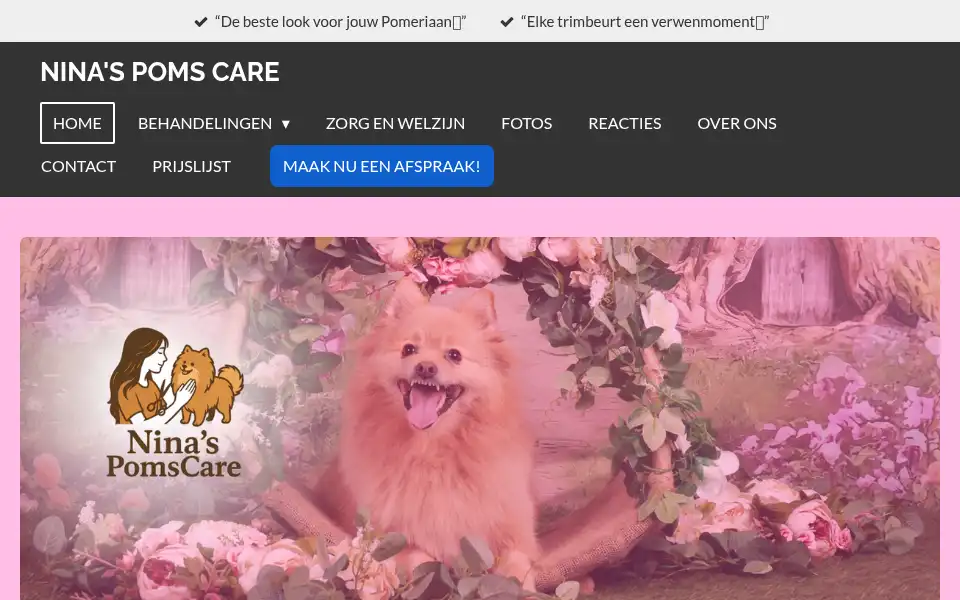 Screenshot of ninaspomscare.nl