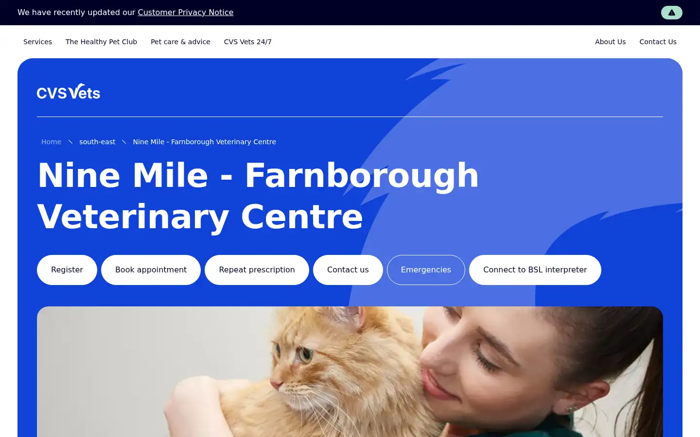 Screenshot of ninemilevets.co.uk