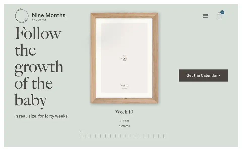 Screenshot of ninemonthscalendar.com
