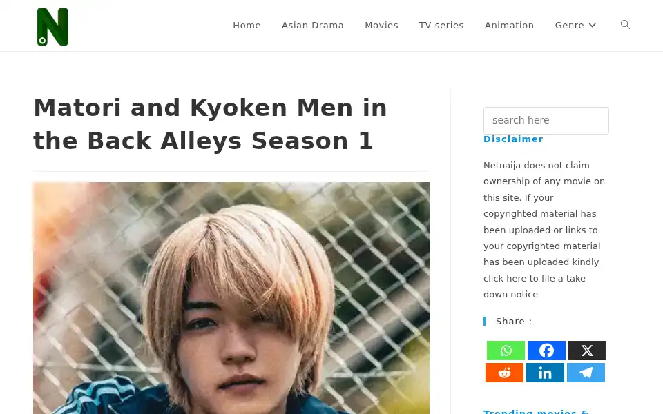Screenshot of nkirimovie.com