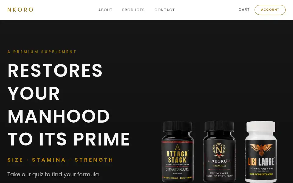 Screenshot of nkoro.co.za