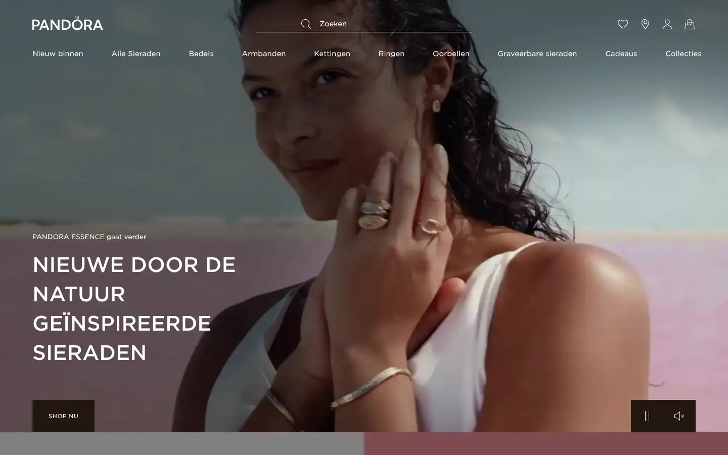 Screenshot of nl.pandora.net