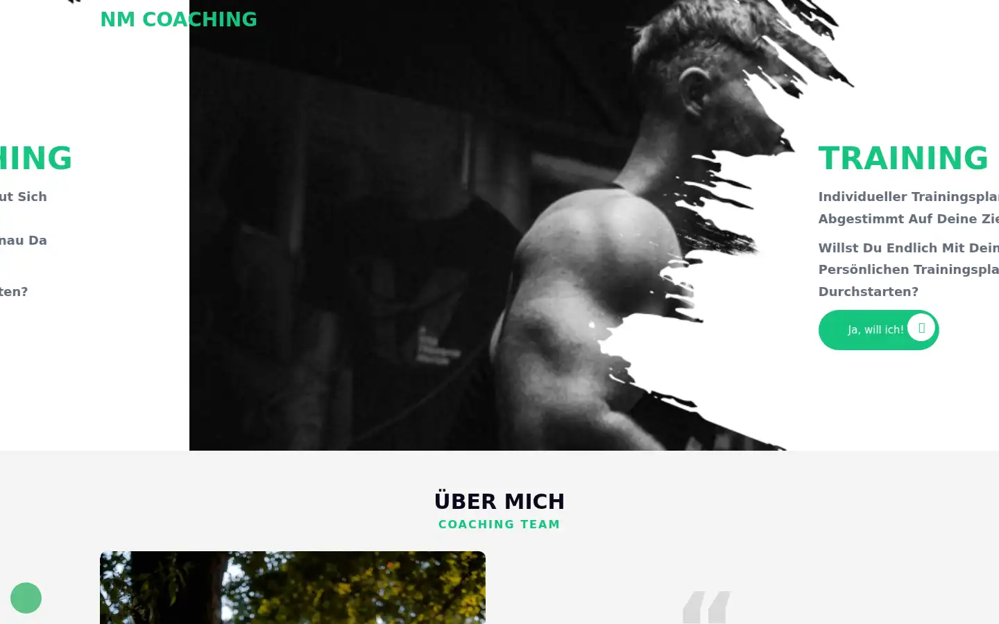 Screenshot of nm-coach.de
