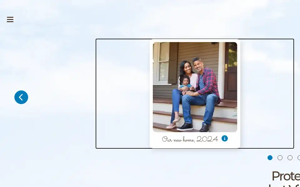 Screenshot of nnins.com