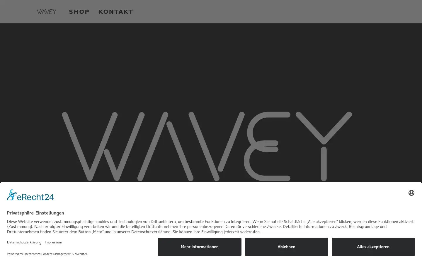 Screenshot of noahholler.com