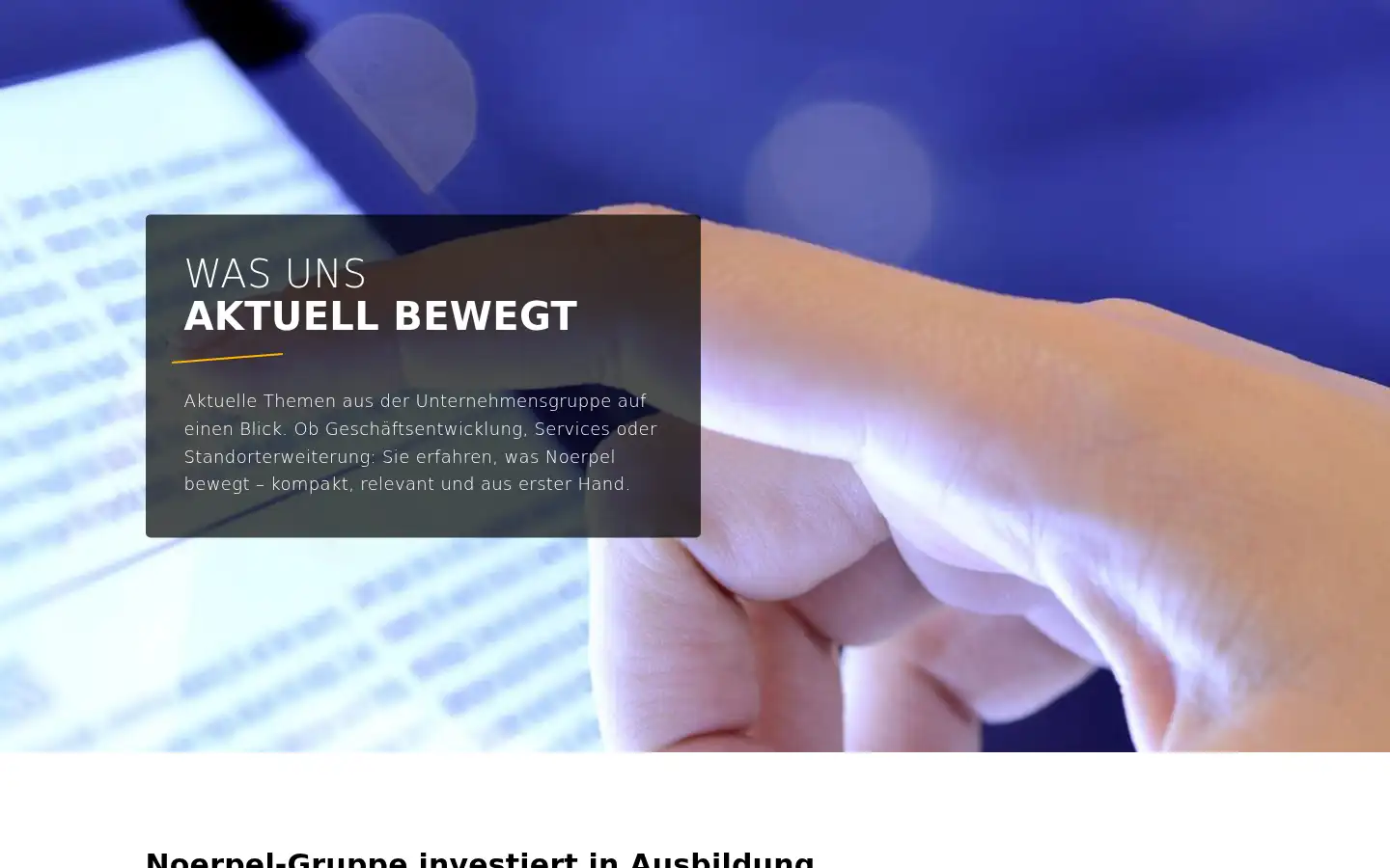 Screenshot of noerpel.de