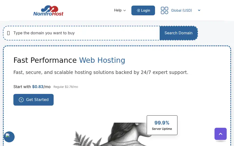 Screenshot of nomfrohost.com
