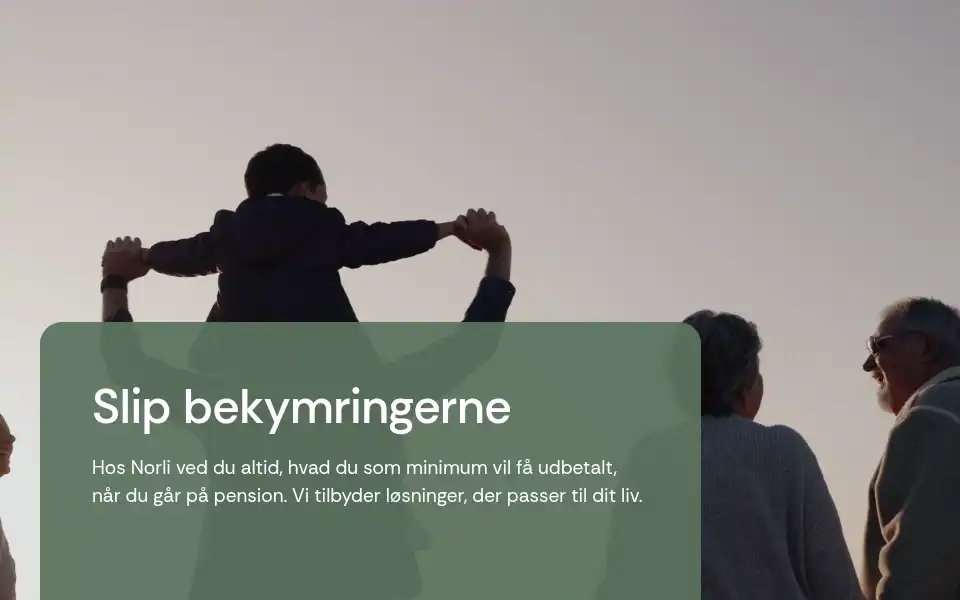 Screenshot of norli.dk