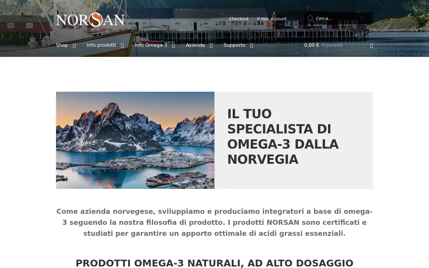 Screenshot of norsan.it