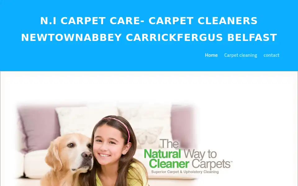 Screenshot of northernirelandcarpetcleaner.co.uk