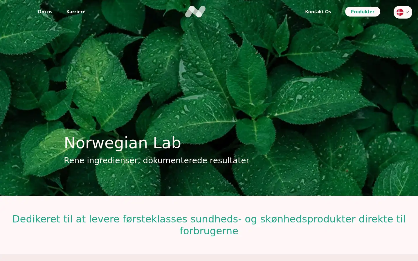 Screenshot of norwegianlab.dk