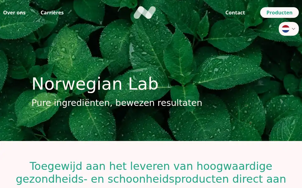Screenshot of norwegianlab.nl