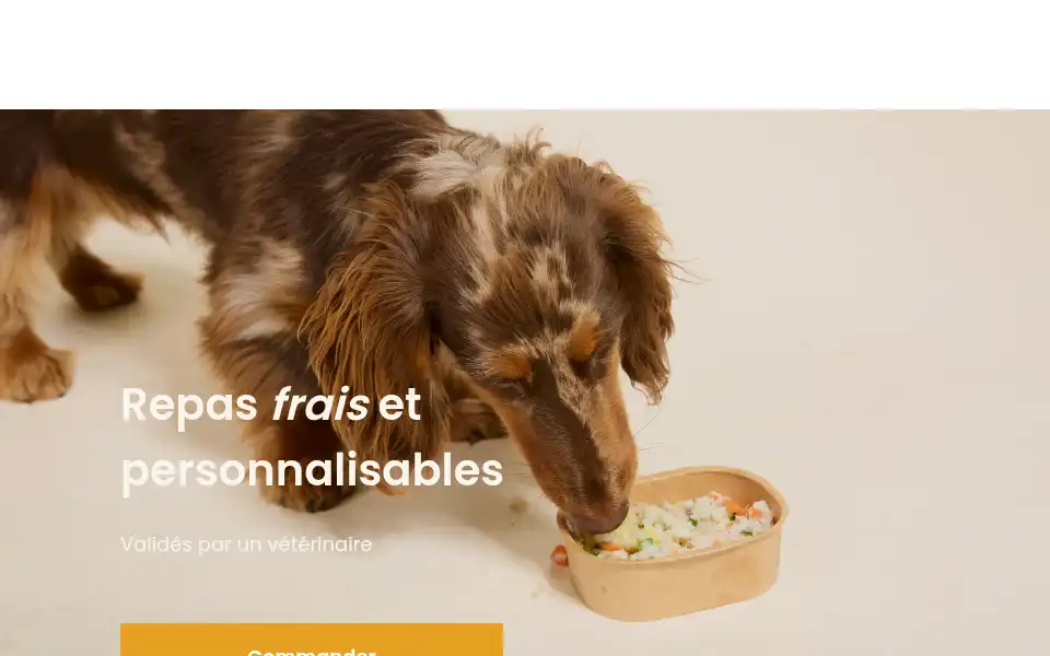 Screenshot of nostruffes.com