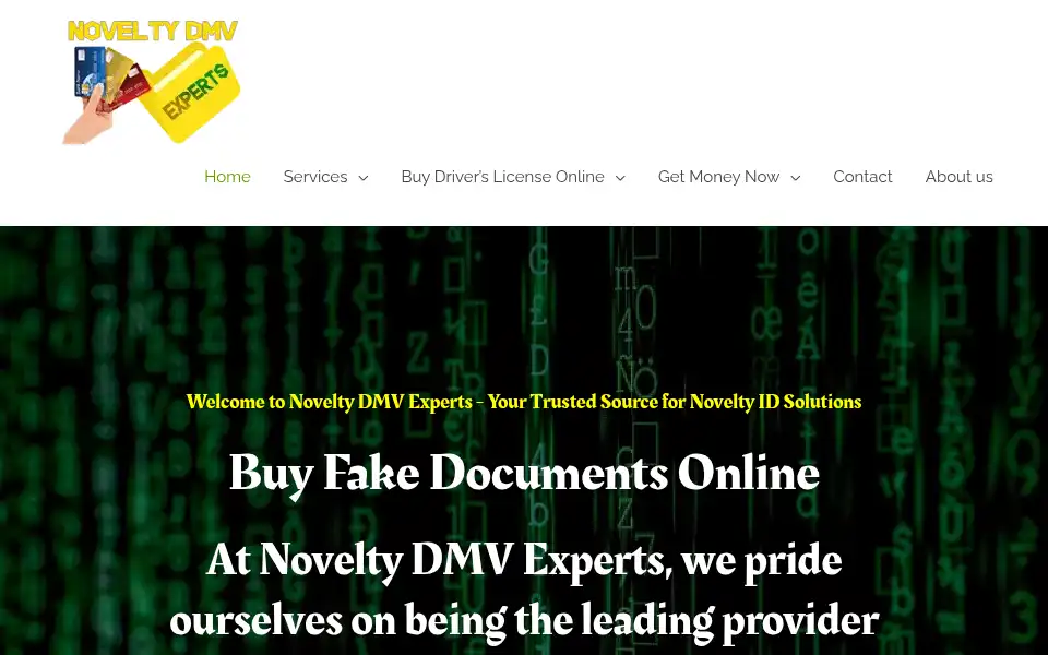 Screenshot of noveltydmvexperts.com