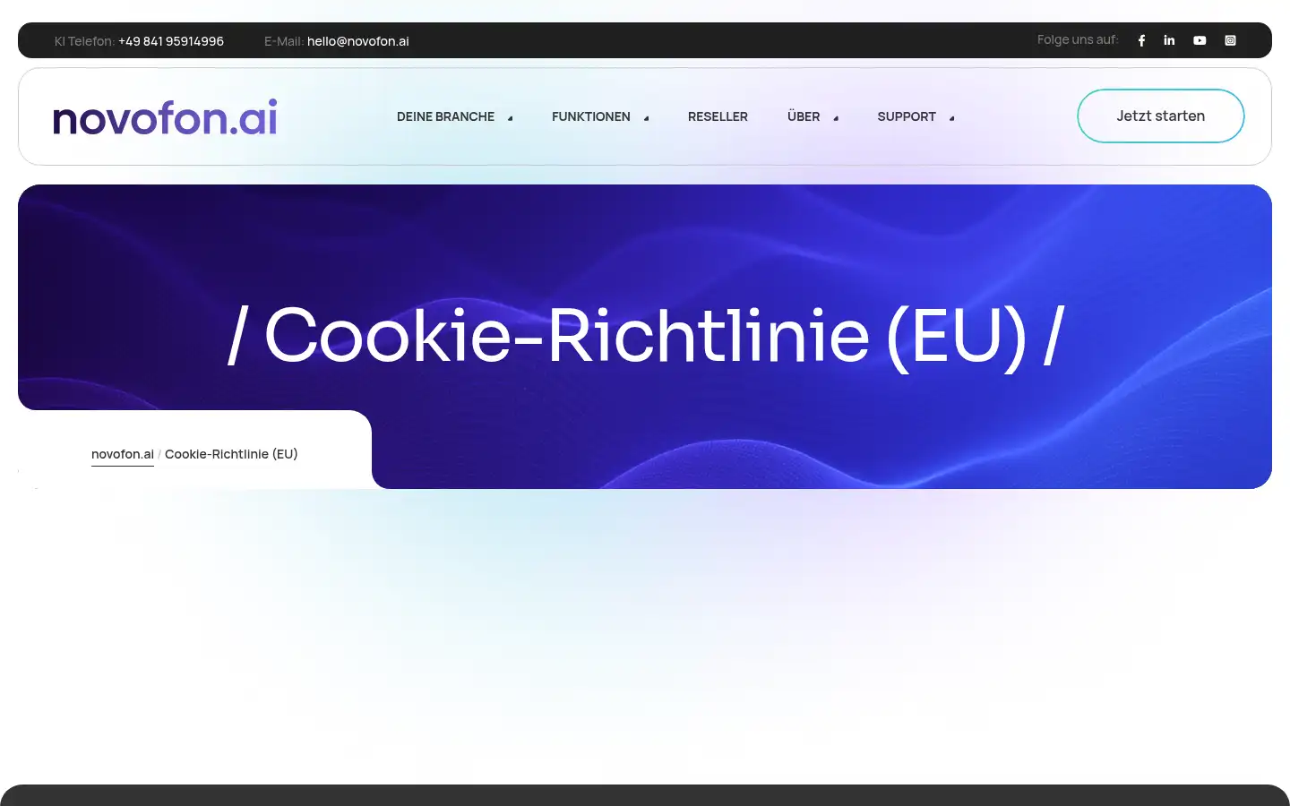 Screenshot of novofon.ai