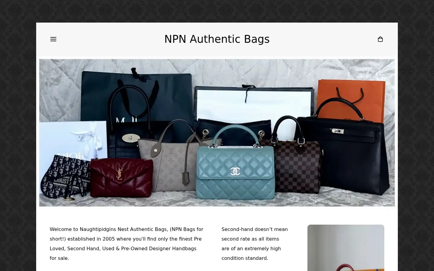 Screenshot of npnbags.co.uk