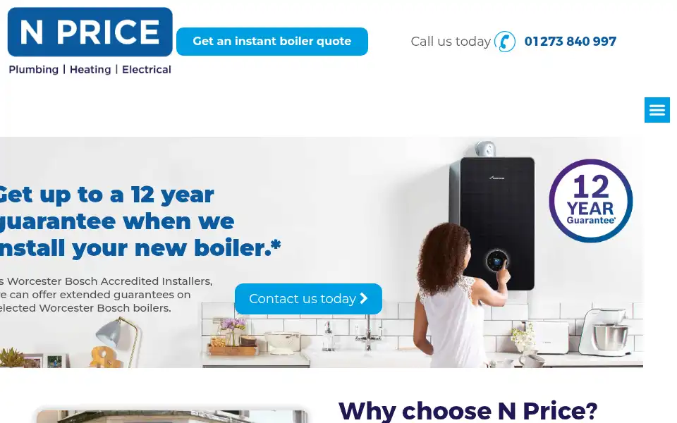 Screenshot of npriceltd.co.uk