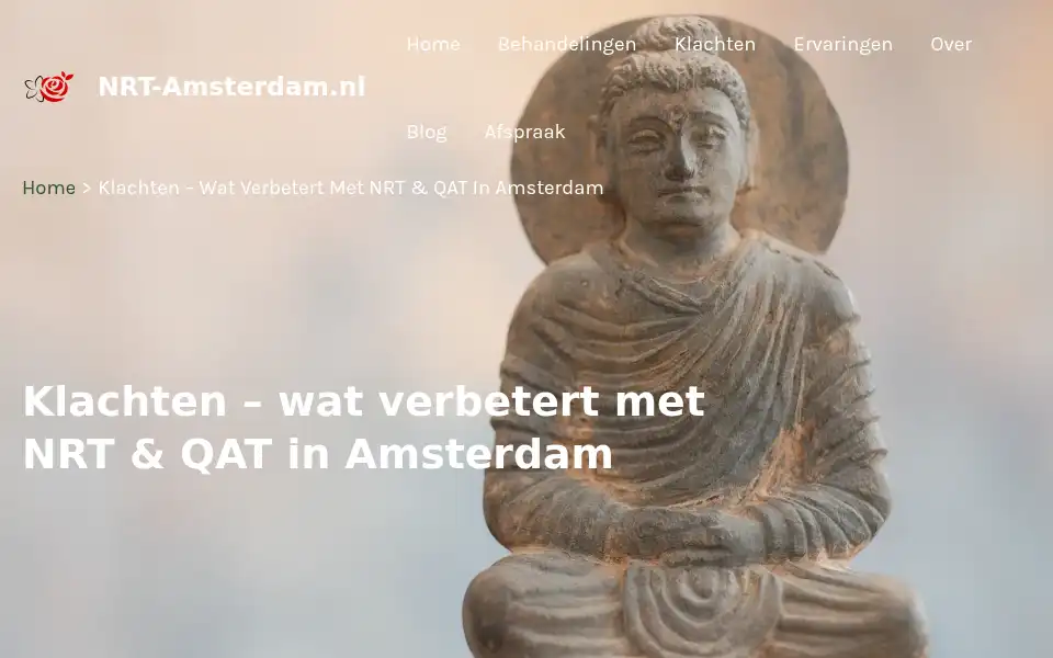 Screenshot of nrt-amsterdam.nl