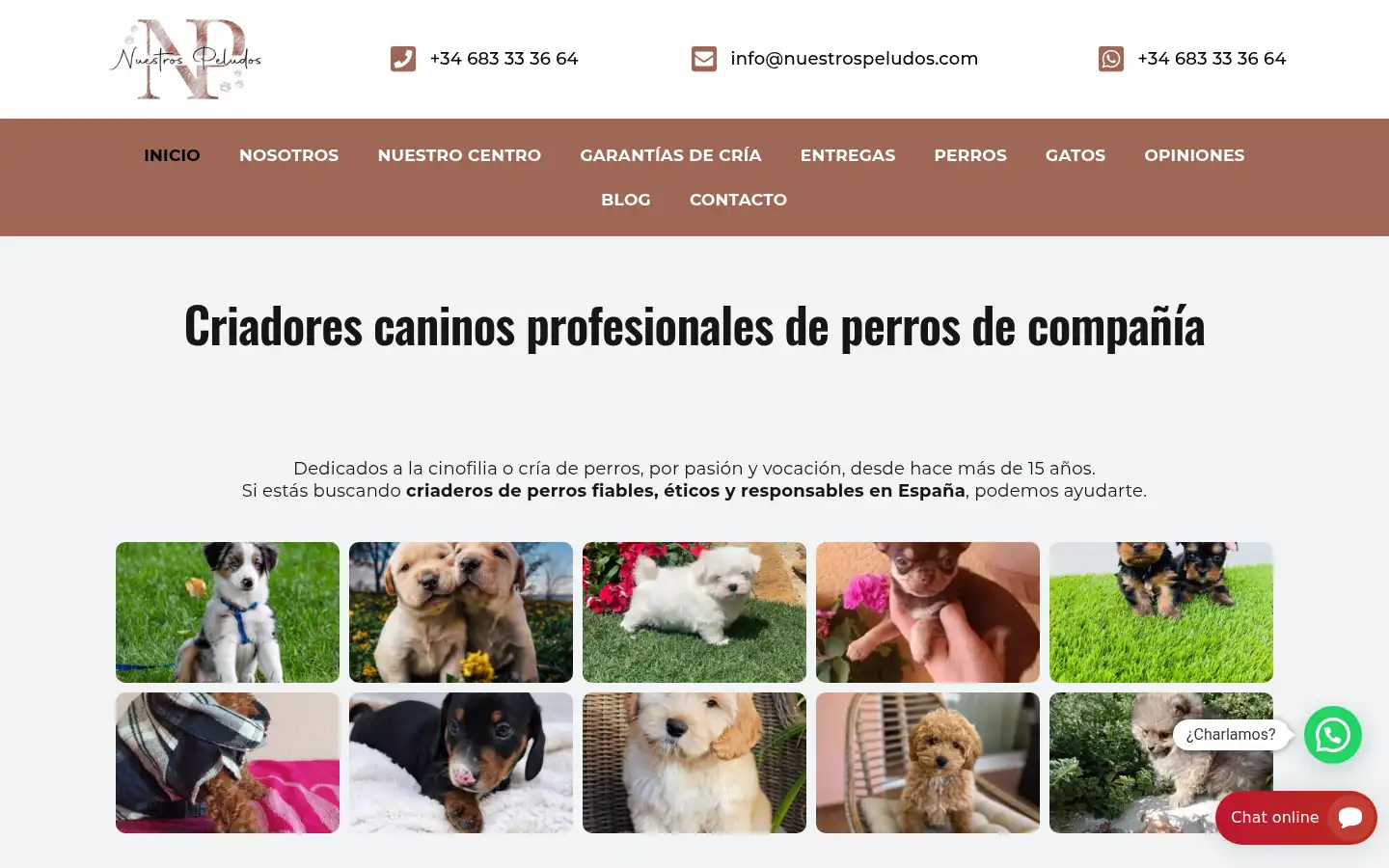 Screenshot of nuestrospeludos.com