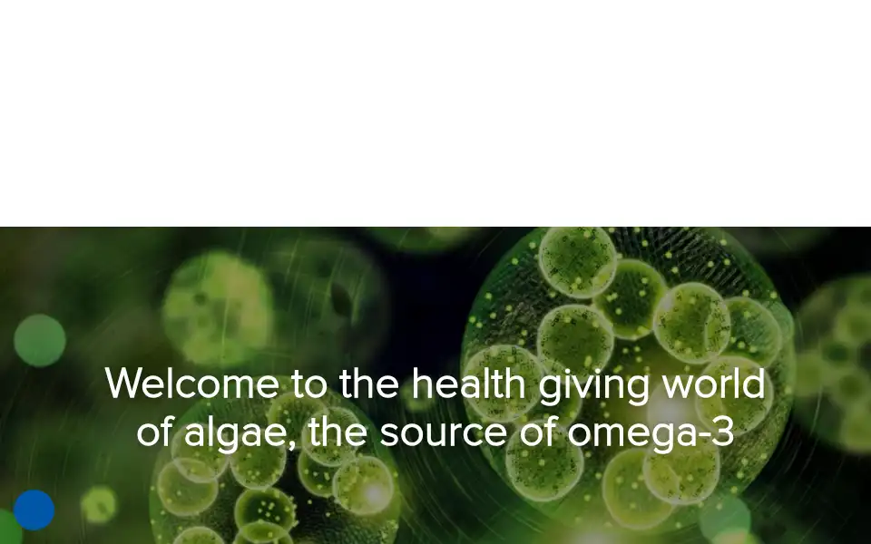 Screenshot of nuique.com