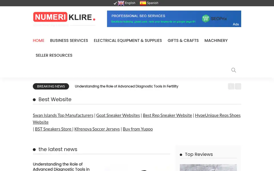 Screenshot of numeriklire.net