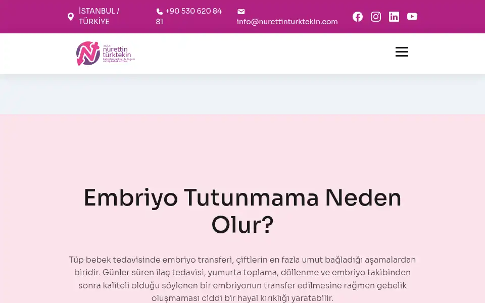 Screenshot of nurettinturktekin.com