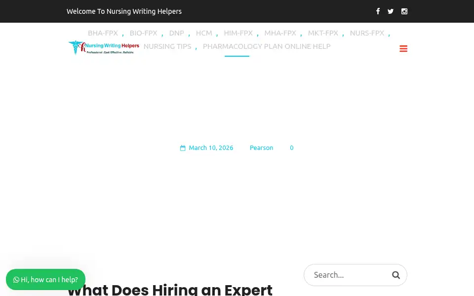 Screenshot of nursingwritinghelpers.com