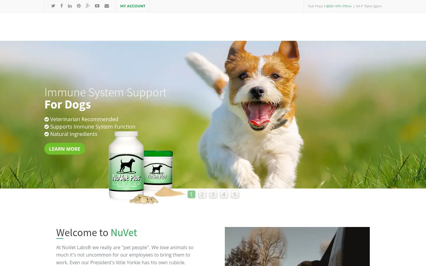 Screenshot of nuvetlabs.com