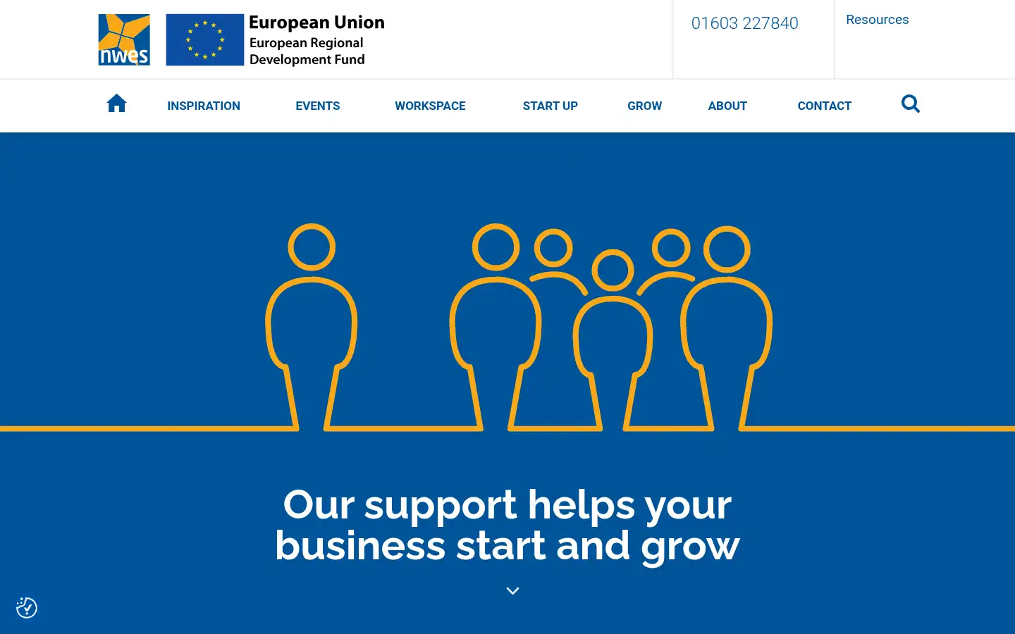 Screenshot of nwes.org.uk