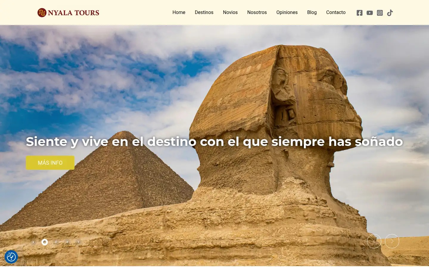 Screenshot of nyalatours.com