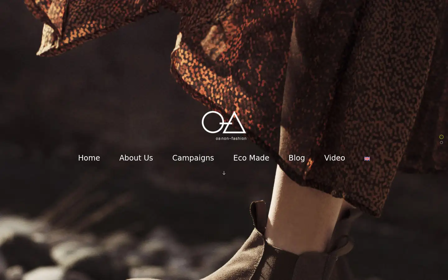 Screenshot of oanonfashion.com