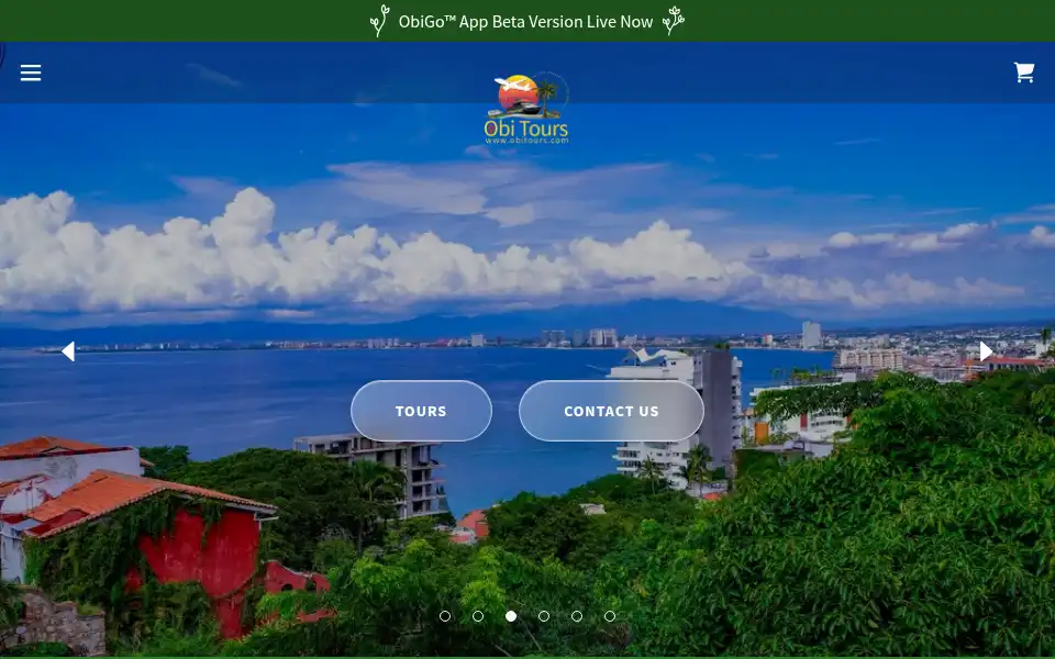 Screenshot of obitours.com