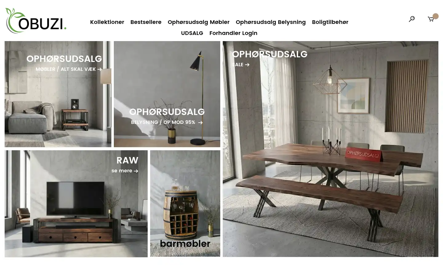Screenshot of obuzi.dk