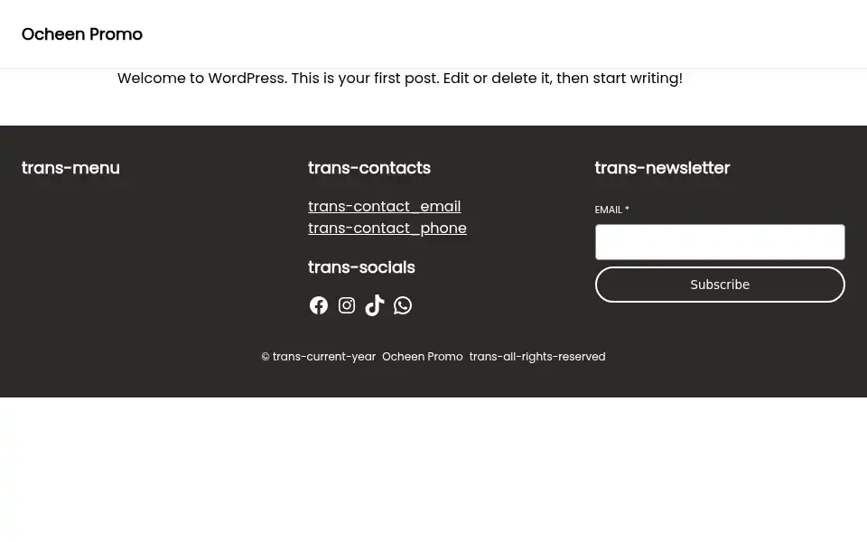 Screenshot of ocheenpromo.com