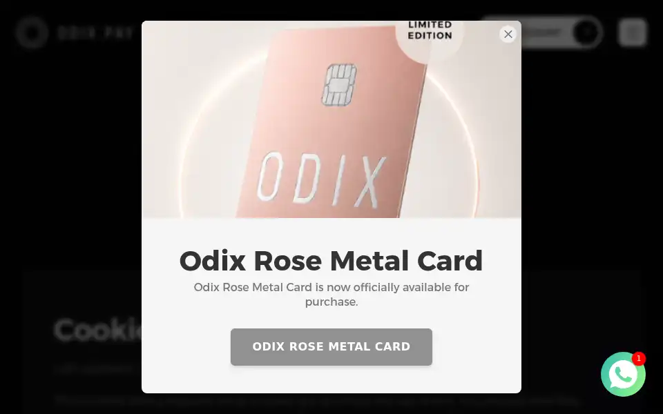 Screenshot of odixpay.com