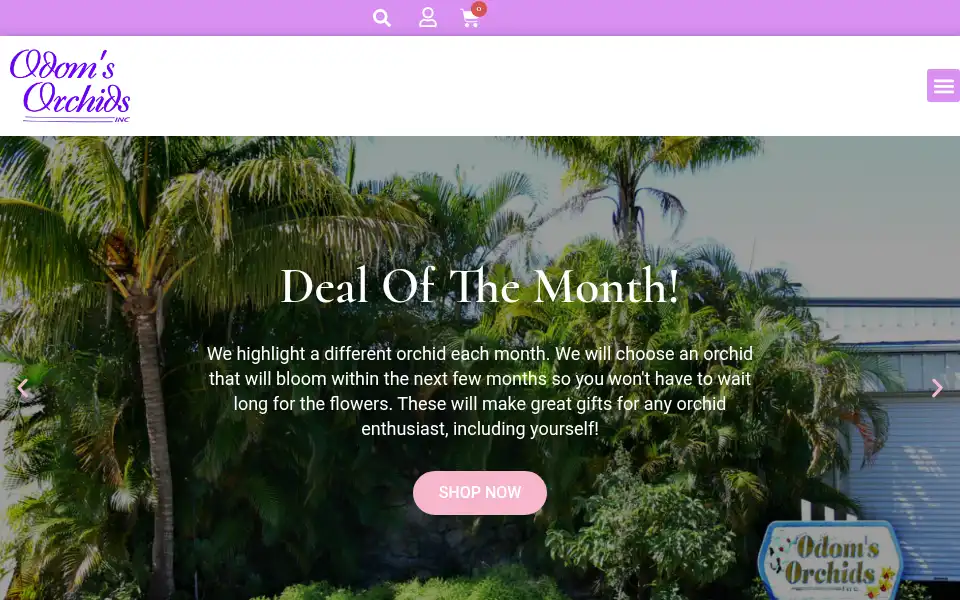 Screenshot of odoms.com