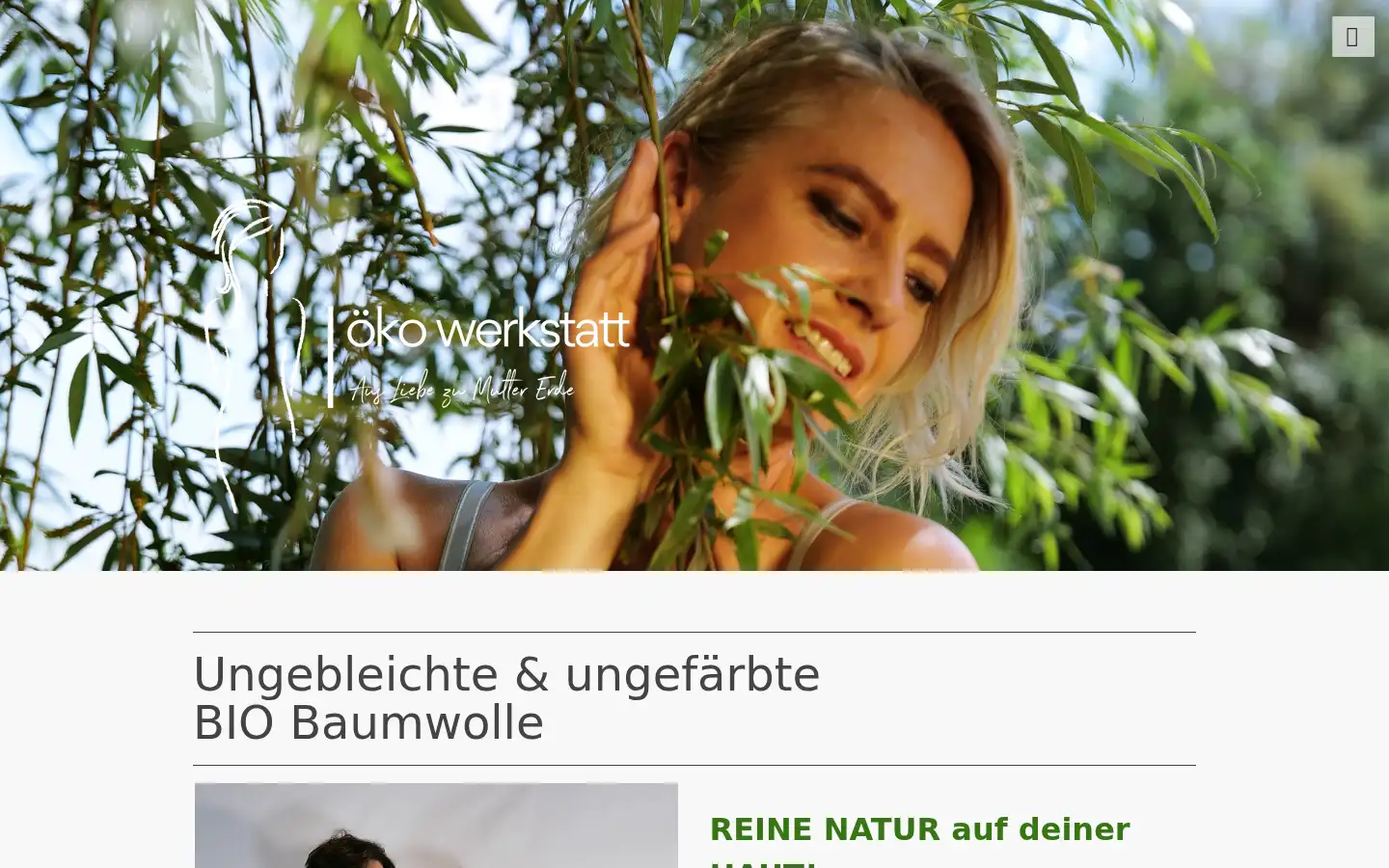 Screenshot of oeko-werkstatt.at