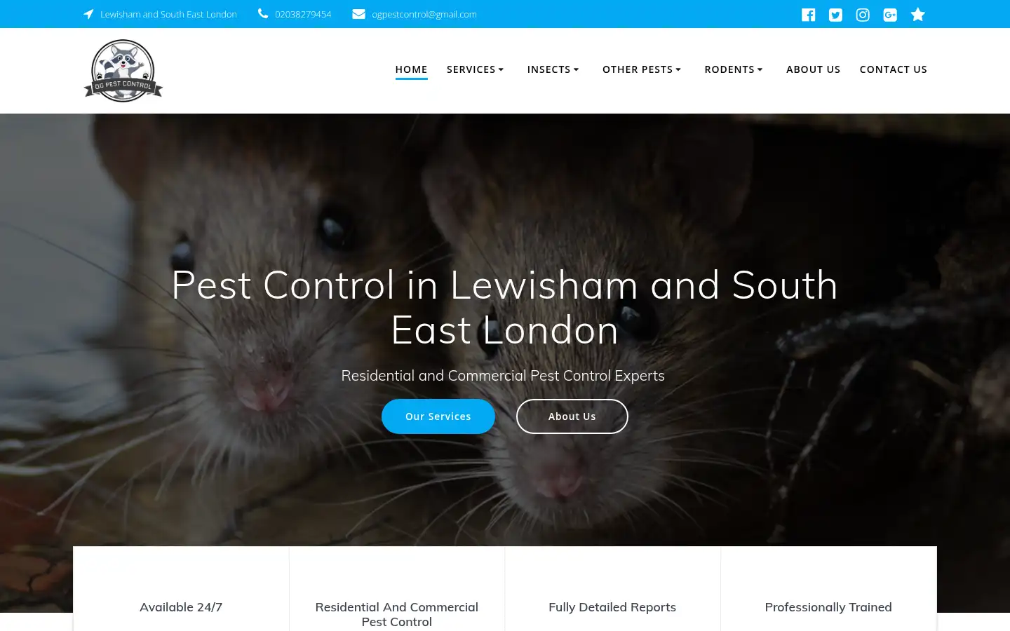 Screenshot of ogpestcontrol.co.uk