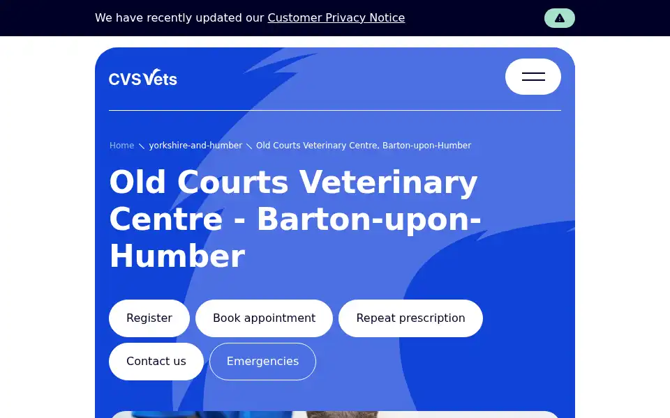 Screenshot of oldcourtsvets.co.uk