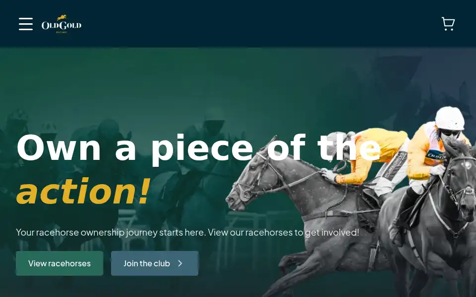 Screenshot of oldgoldracing.com