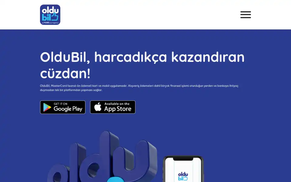 Screenshot of oldubil.com.tr