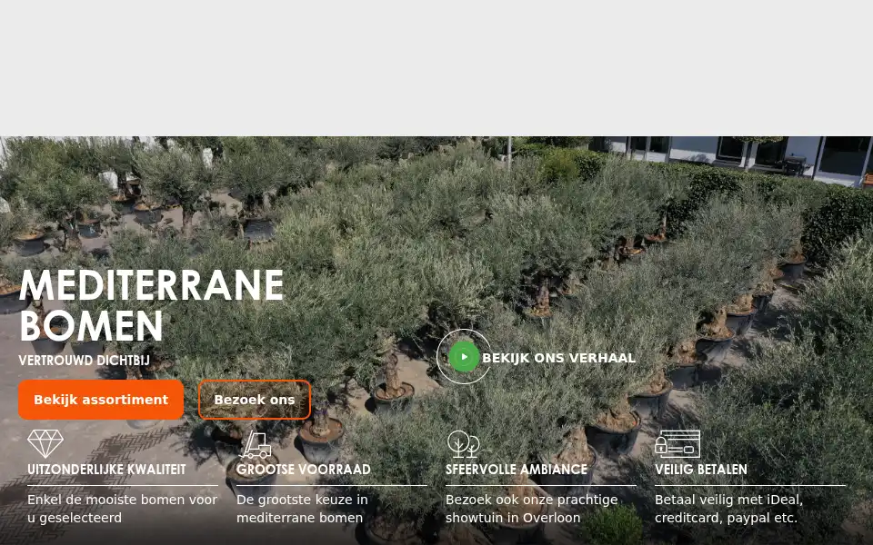 Screenshot of olijfbomen.nl