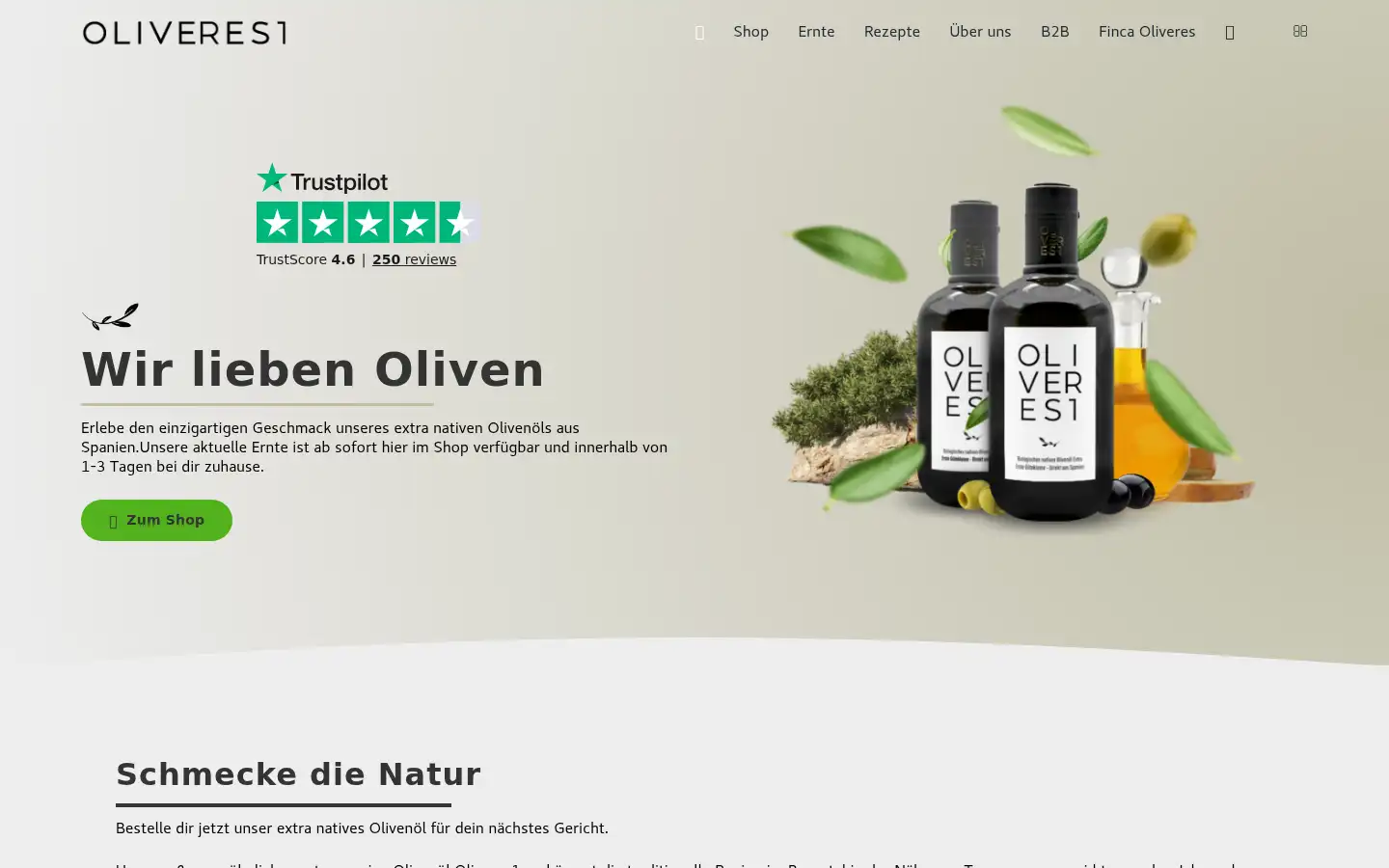 Screenshot of oliveres1.de