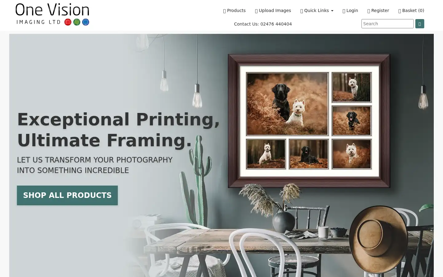 Screenshot of onevisionimaging.com