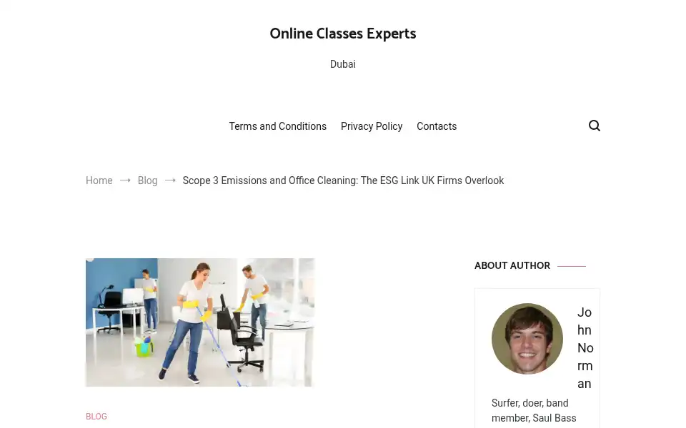 Screenshot of onlineclassesexperts.com
