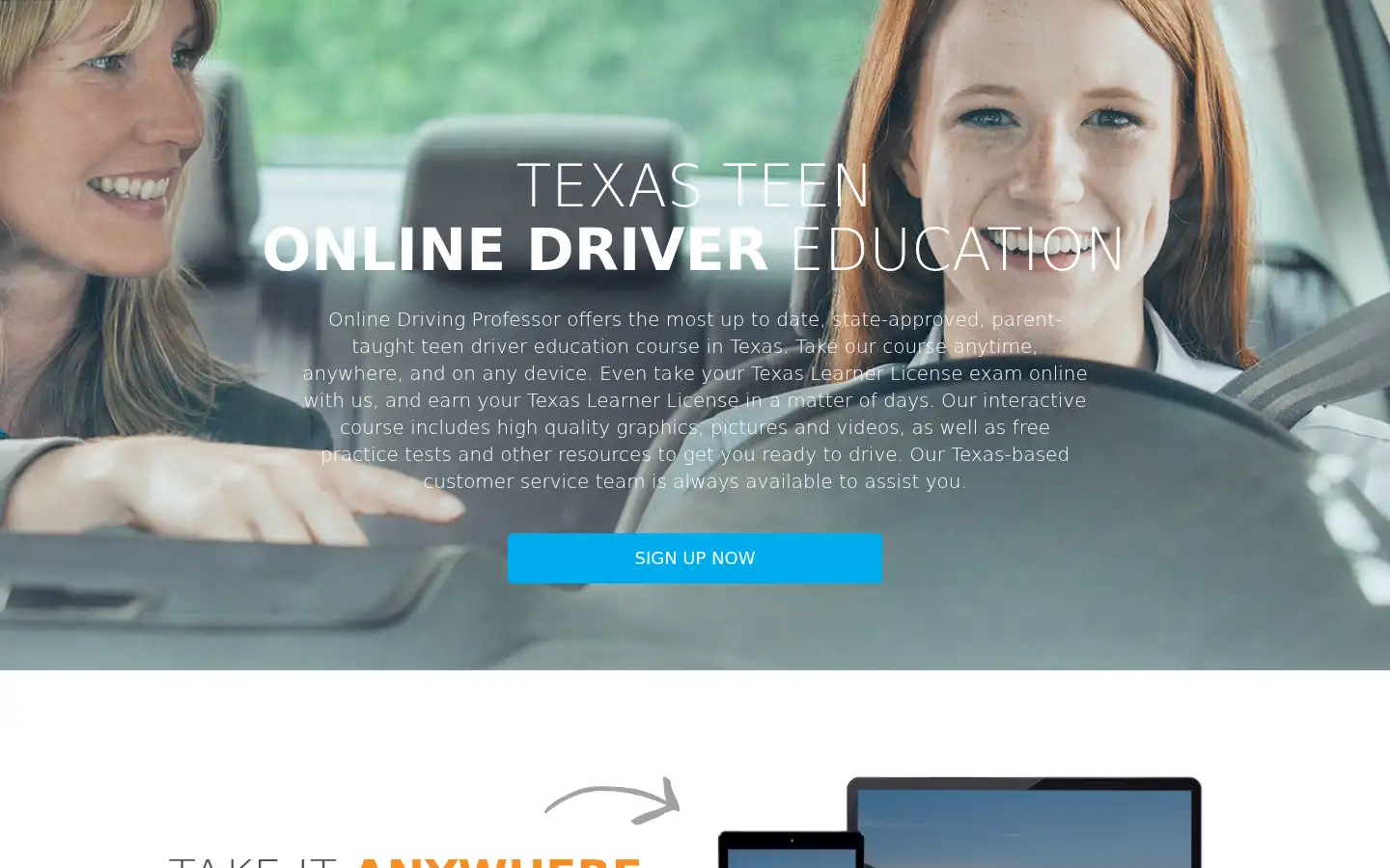 Screenshot of onlinedrivingprofessor.com