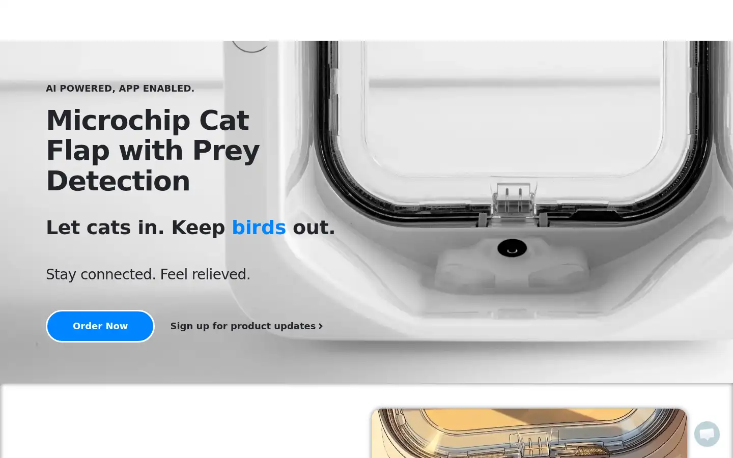 Screenshot of onlycat.com